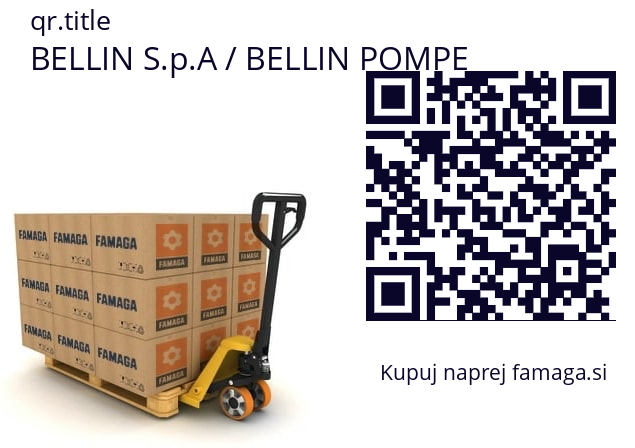   BELLIN S.p.A / BELLIN POMPE 0695